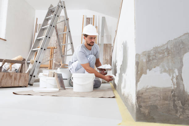 Best Mold Documentation for Insurance Claims  in Eleanor, WV