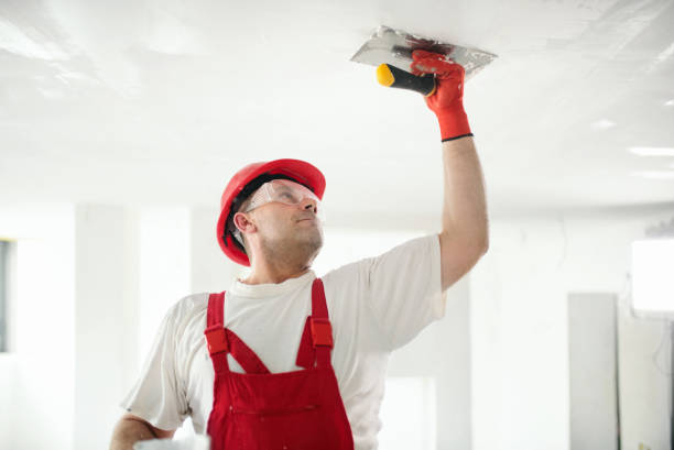Best Real Estate Mold Inspection  in Eleanor, WV
