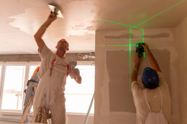 Forensic Mold Investigation in Eleanor, WV