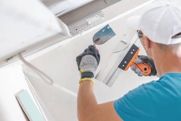 Best Post-Construction Mold Inspection  in Eleanor, WV